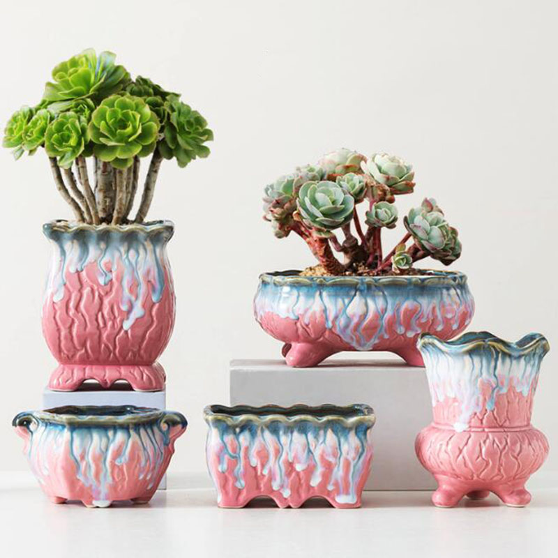 Snake Plant Ceramic - Vaso da fiori smaltato creativo Vaso