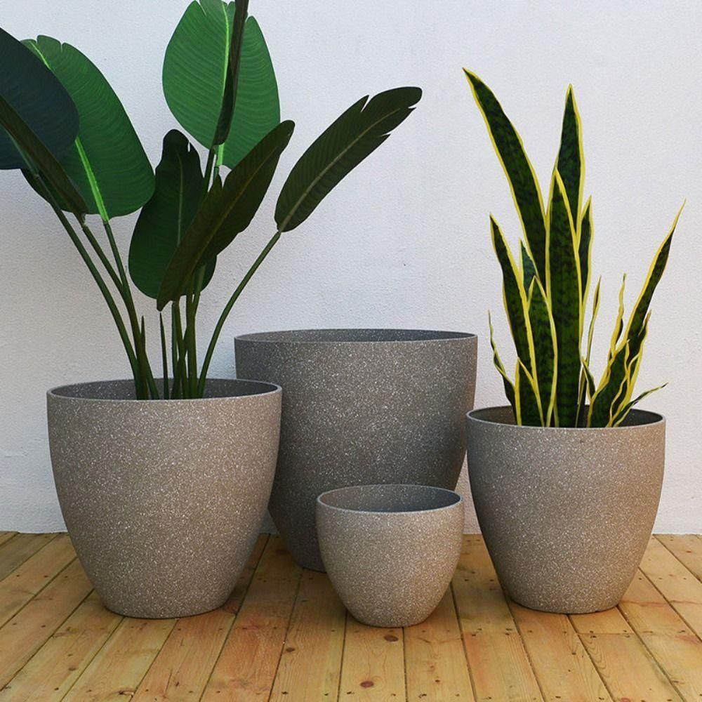 Snake Plant Ceramic - Vaso da fiori per bonsai in