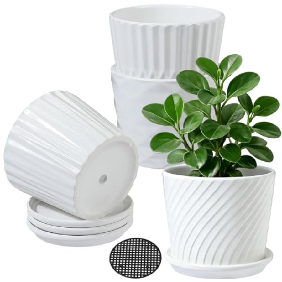 Snake Plant Ceramic - Vasi per Piante - Set di