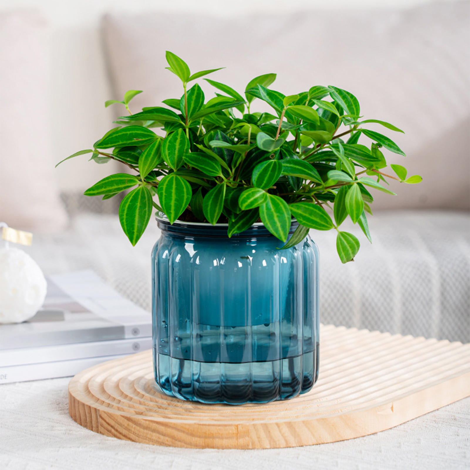 Snake Plant Ceramic - Elegante fioriera autoirrigante vaso da fiori