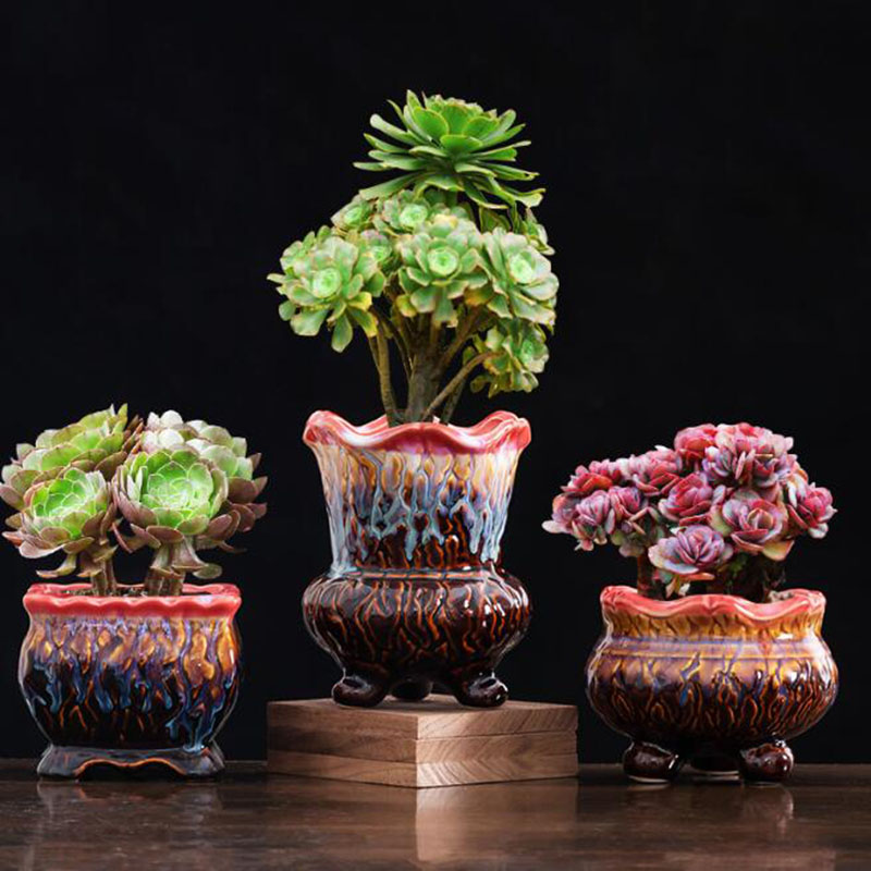 Vaso da fiori smaltato creativ - Snake Plant Ceramic recensione e prezzo