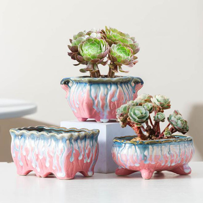 Vaso da fiori smaltato creativ - Snake Plant Ceramic recensione e prezzo