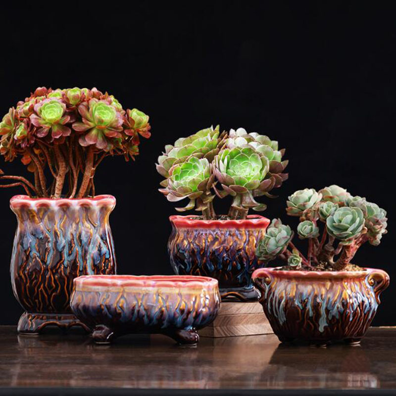 Vaso da fiori smaltato creativ - Snake Plant Ceramic recensione e prezzo