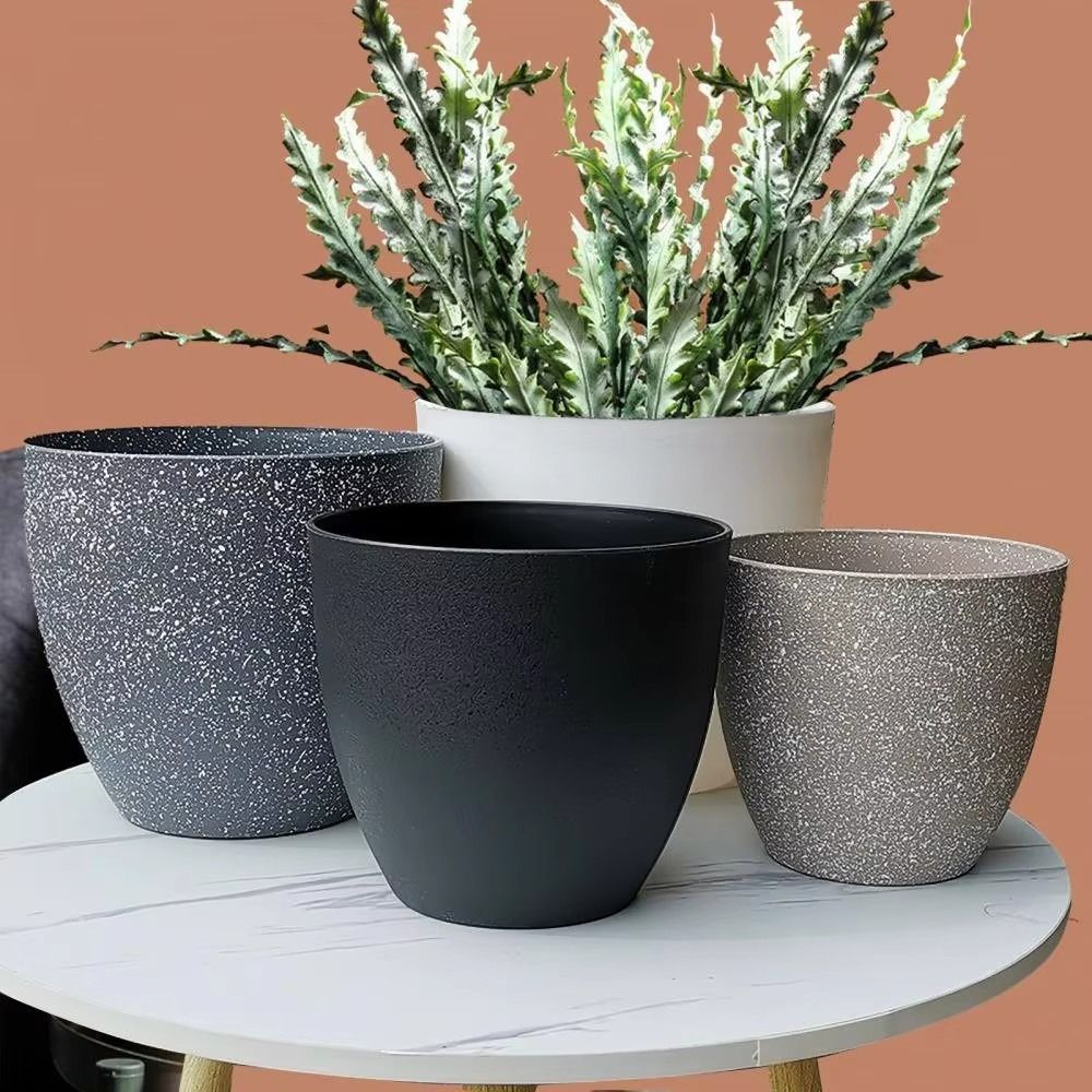 Vaso da fiori per bonsai in pi - Snake Plant Ceramic recensione e prezzo