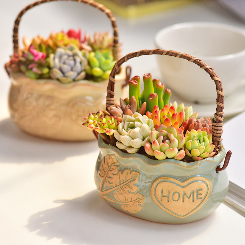 Vaso per Piante Grasse in Cera - Snake Plant Ceramic recensione e prezzo