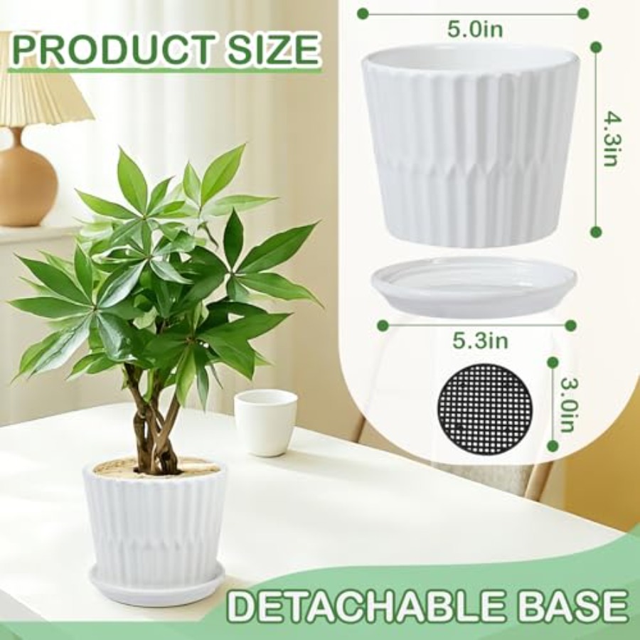 Vasi per Piante - Set di 4 Vas - Snake Plant Ceramic recensione e prezzo