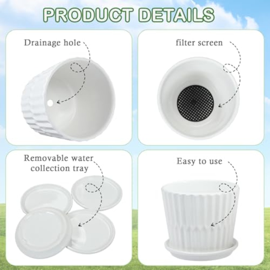 Vasi per Piante - Set di 4 Vas - Snake Plant Ceramic recensione e prezzo