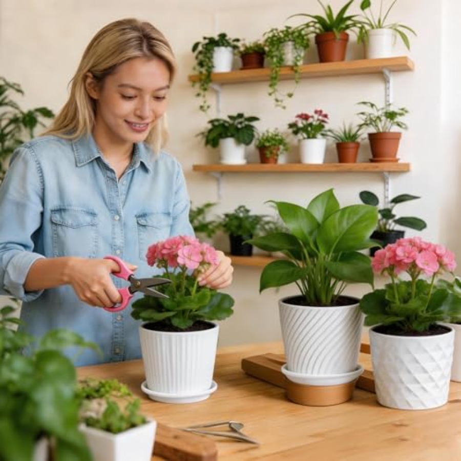 Vasi per Piante - Set di 4 Vas - Snake Plant Ceramic recensione e prezzo