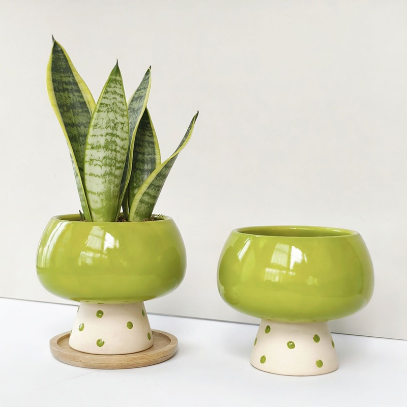 Elegante Vaso in Ceramica Mini - Snake Plant Ceramic recensione e prezzo