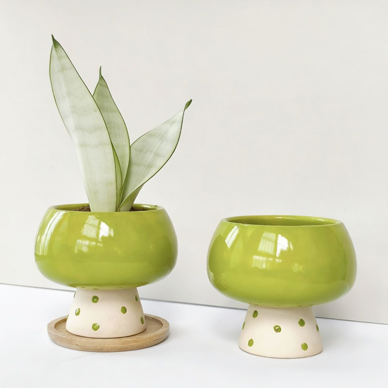 Elegante Vaso in Ceramica Mini - Snake Plant Ceramic recensione e prezzo
