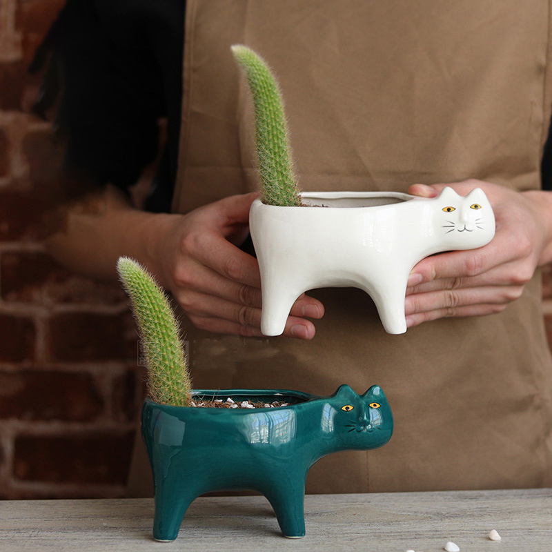Simpatico gatto in ceramica da - Snake Plant Ceramic recensione e prezzo