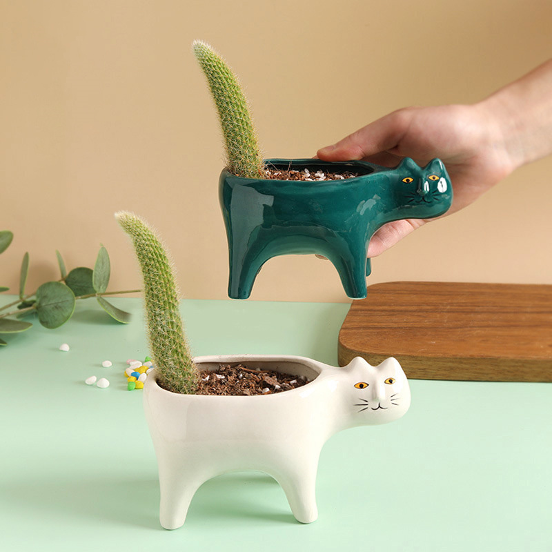 Simpatico gatto in ceramica da - Snake Plant Ceramic recensione e prezzo