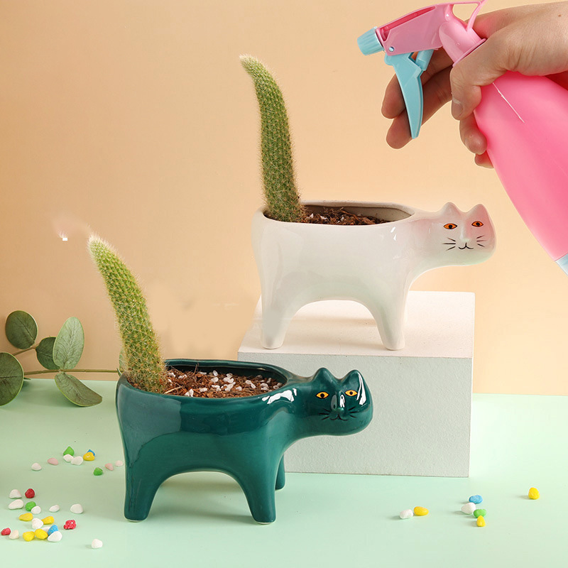 Simpatico gatto in ceramica da - Snake Plant Ceramic recensione e prezzo